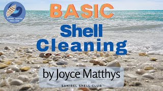 How to Clean Shells  Basic Shell Cleaning [upl. by Aisital423]