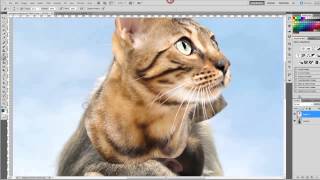 Hybrid Animal Photoshop Tutorial [upl. by Suirred]