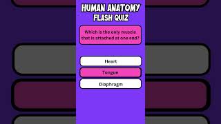 Human Anatomy Flash Quiz 7 engquiz quiz english [upl. by Rakel]