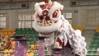 2007 Kun Seng Keng KSK Lion Dance Performance 关圣宫醒狮团 關聖宮舞獅 [upl. by Cohla]