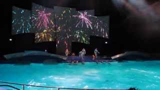 Dolfinarium  AquaBella finale HD  14 juli 2013 [upl. by Hctim206]