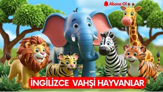 İngilizce Vahşi Hayvanlar  Learning Wild Animals Names For Kids [upl. by Fairleigh]