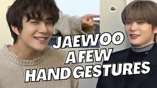 Jaewoo A few hand gestures [upl. by Ainer]