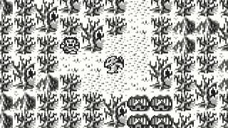 Test Gargoyles Quest Gameboy [upl. by Marsden990]