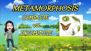 Metamorphosis in Animals Complete vs Incomplete [upl. by Mullins]