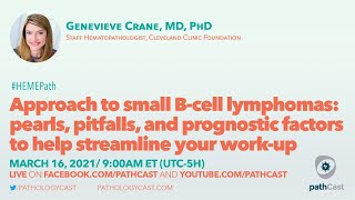 What You Need to Know about NonHodgkins Lymphoma Presentation [upl. by Conal]