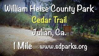 William Heise Park  Cedar Trail Virtual Hike [upl. by Suhsoj]