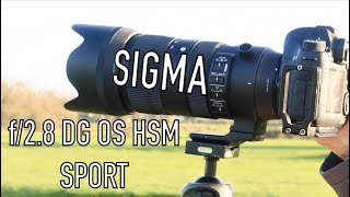 Sigma 70200mm f28 DG OS HSM SPORT  Overview amp Sample Photos [upl. by Erek953]