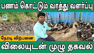 Vaathu Valarppu  வாத்து பண்ணை  வாத்து வளர்ப்பு [upl. by Erdnoid]