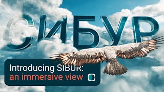 SIBUR VR tour how everything works [upl. by Eatnahs704]