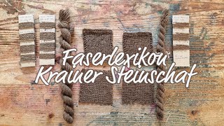 Faserlexikon Krainer Steinschaf [upl. by Tare]