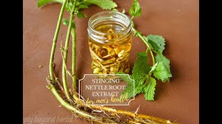 Stinging nettle root extract recipe [upl. by Hakon]