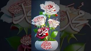 Bibi Amna Ke Phool Allah Hi Allah islamicnaat trending islamicstatus viral video shortvideos [upl. by Dam]