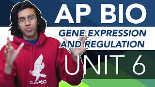 AP Biology Unit 6 Crash Course Gene Expression and Regulation [upl. by Ttezil]