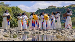 Hani Mihreteab  Tehambele  ተሓምበለ  New Eritrean Music 2023 [upl. by Croom]