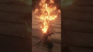 Average Sekiro Hitboxes [upl. by Avan]