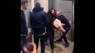 TELLEMENT EXTRÊME  Opération sauvetage de cochons en abattoir [upl. by Ahserak975]