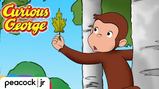 Jumpys Noisy Neighbor  CURIOUS GEORGE [upl. by Ihsoyim]