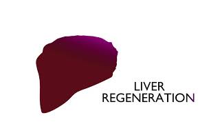 How to ultrasound the liver [upl. by Robyn]