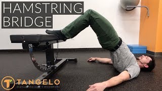 Hamstring Bridge Exercise  Tangelo Health [upl. by Nongim]