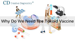 Why do we need the toxoid vaccine [upl. by Gaskin160]