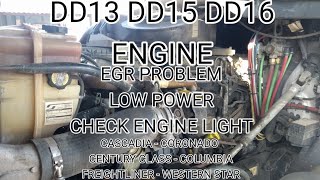 Freightliner Cascadia DD13 DD15 DD16 EGR problem low power derate spn 2631 fmi 1 [upl. by Alyaj836]