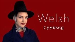 About the Welsh language [upl. by Sheffy787]