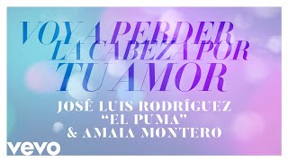 José Luis Rodríguez Amaia Montero  Voy a Perder la Cabeza por Tu Amor Audio [upl. by Trix]