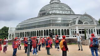 Chinese Wellbeing Liverpool Green Space amp Health Project Palm House Sefton Park Outing 7th June 2022 [upl. by Aham]