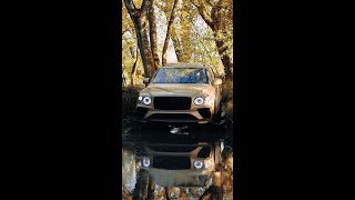 Bentayga off road [upl. by Harley]