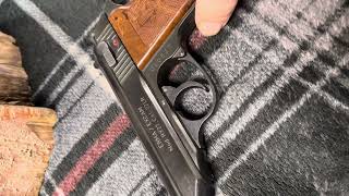 Erma excam RX22 PPK Clone 22lr [upl. by Pulchi77]