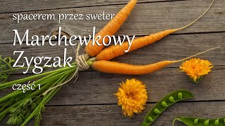 Wrześniowy Wielki Zygzak  cz 1 [upl. by Josee803]