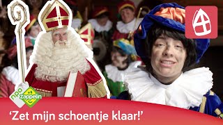 SINTERKLAAS IS JARIG  Sinterklaasliedjes  NPO Zappelin [upl. by Isma878]