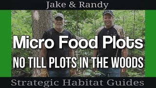 Easy Way to Prep Small IntheWoods Food Plots for Deer [upl. by Inat827]