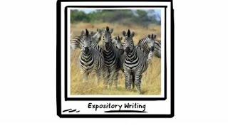 Expository Writing Primary [upl. by Oderfliw]