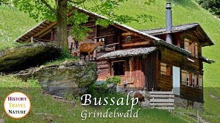 Wandern in der Schweiz  Bussalp  Grindelwald  Berner Oberland [upl. by Capwell887]