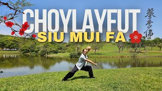 🌸 Siu Mui Fa  Forma Básica do CHOY LAY FUT  kungfu artesmarciais [upl. by Gordie]