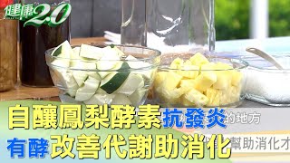 自釀鳳梨酵素抗發炎 有酵改善代謝助消化 健康20 [upl. by Lleral]