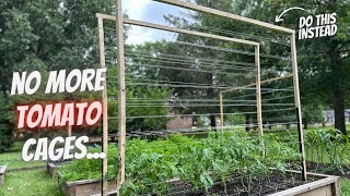 My Favorite Trellis For Any Climbing Plant  Cheap and Simple [upl. by Candyce]