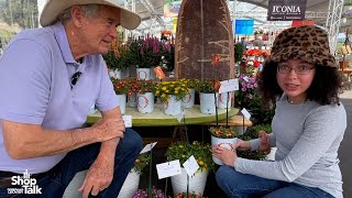 California Spring Trials 2024 Two New Delosperma Series from Dümmen Orange [upl. by Tubb80]