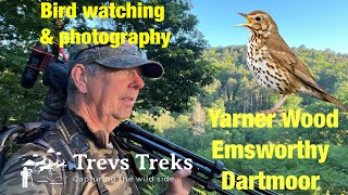 Bird watching amp photography Yarner Wood Emsworthy Dartmoor Redstart Pied Flycatcher Song Thrush [upl. by Ube]