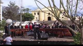 Marimba Maderas Chapinas  Concierto Color y Folklore Guatemalteco Vol 1 [upl. by Elatsyrk]