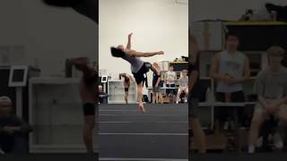 SLOW MOTION BACKFLIPS OFF 1 LEG Martial Arts Tricking Gainers Gymnast Training Circus Fit Xtreme [upl. by Eronel]