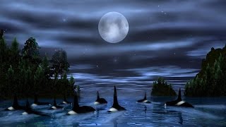 Ennio Morricone  Orca Theme [upl. by Cicily]