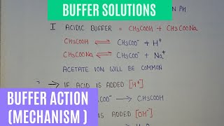 Buffer Action  Acidic and basic buffer Action  how buffer resist pH change [upl. by Fawna]