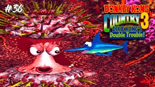 Donkey Kong Country 3 Dixie Kongs Double Trouble SNES Gameplay ep36 ㅡ Barboss Barrier [upl. by Ia198]