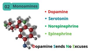 Neurotransmitters Types Classification and Functions summary [upl. by Rechaba]