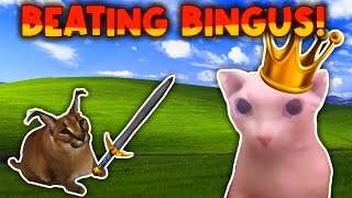 How to beat the BINGUS ARMY  Roblox [upl. by Eerazed]