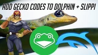 How to Add Gecko Codes to Dolphin  Slippi [upl. by Nnahgaem]