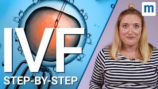 IVF treatment Stepbystep [upl. by Iralav]